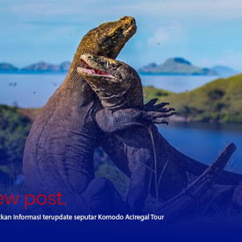 Artikel Komodo Aciregal Tour 1