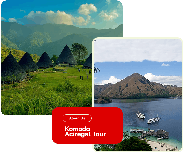 Profil Komodo Aciregal Tour