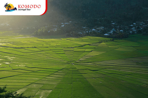 Spider Web Rice Fields (Lingko) Spider Web Rice Fields (Lingko)