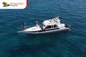 Fishing by Slow Boat