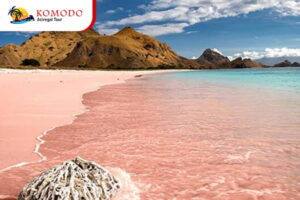 Pink Beach